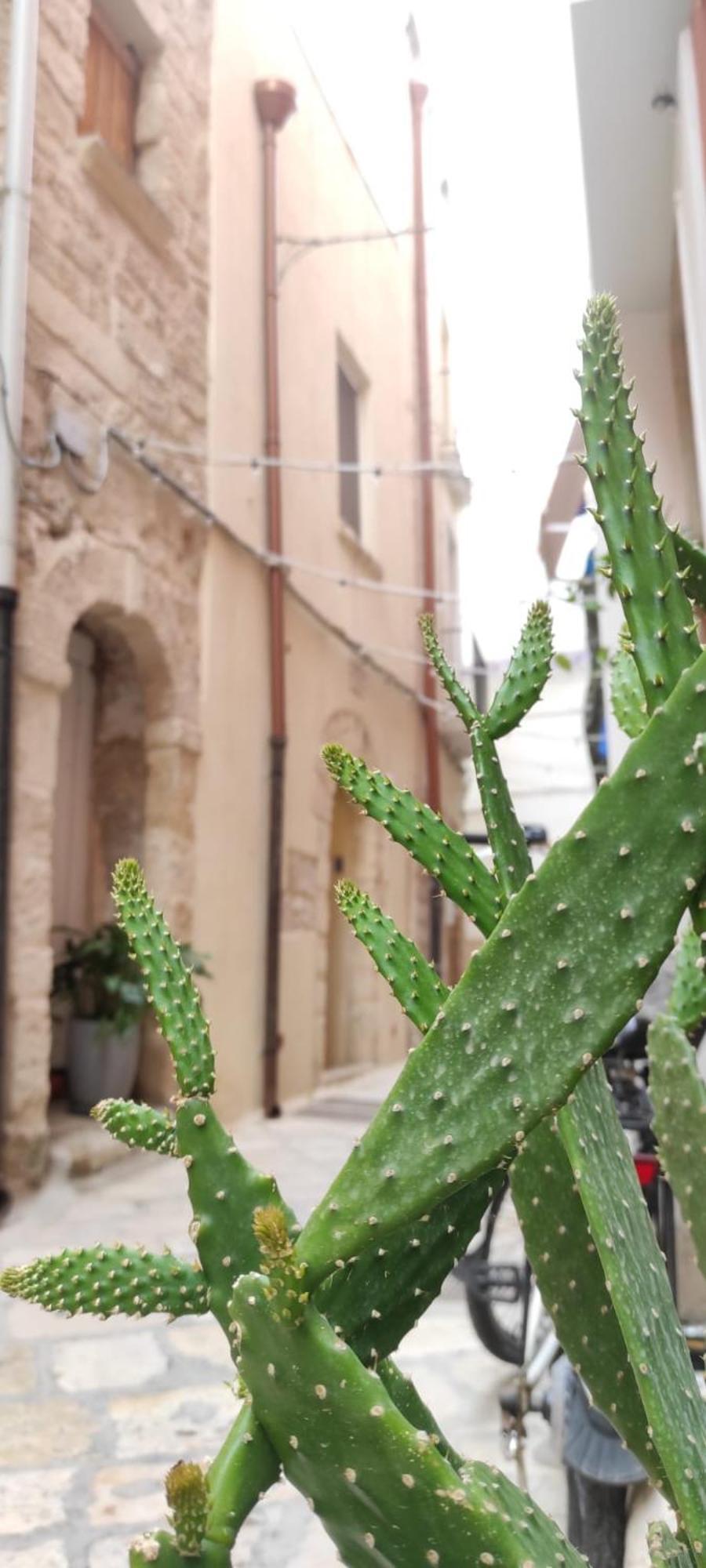 La Follia Dell'Architetto Villa Bari Buitenkant foto